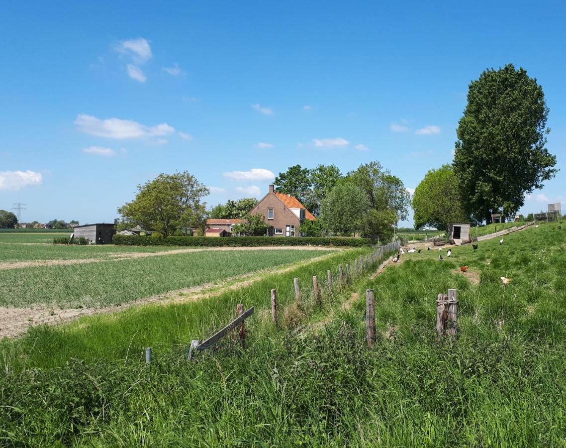 “In Oans Oefje” Parel In De Polder! Apartman Lewedorp Kültér fotó