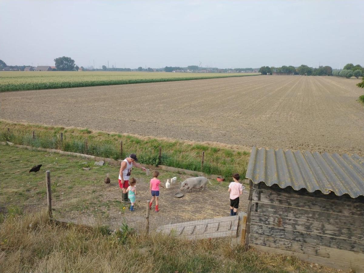 “In Oans Oefje” Parel In De Polder! Apartman Lewedorp Kültér fotó