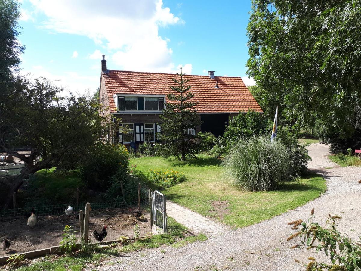 “In Oans Oefje” Parel In De Polder! Apartman Lewedorp Kültér fotó