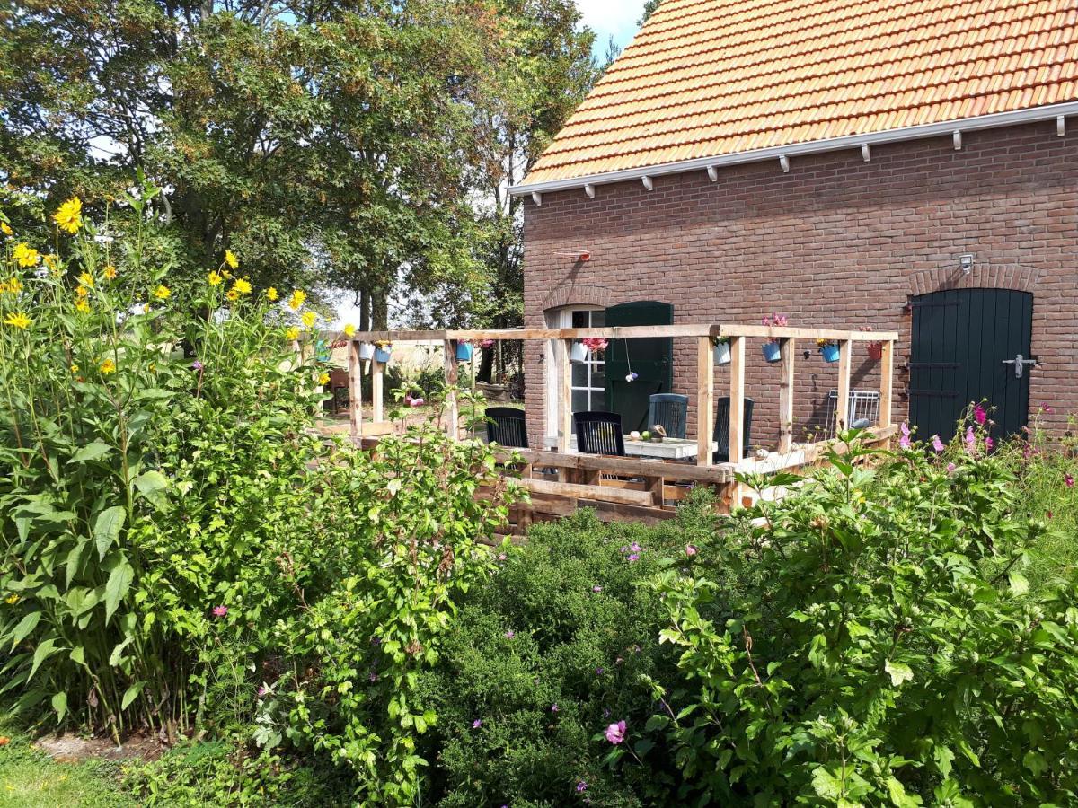 “In Oans Oefje” Parel In De Polder! Apartman Lewedorp Kültér fotó