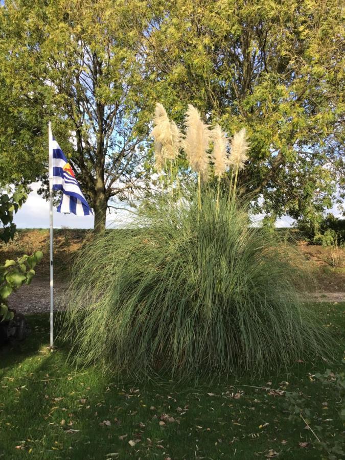 “In Oans Oefje” Parel In De Polder! Apartman Lewedorp Kültér fotó