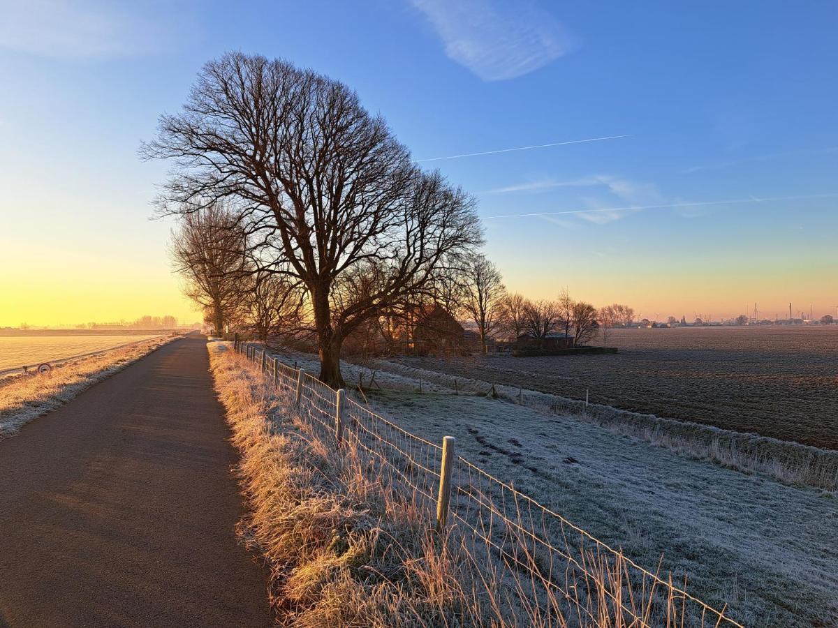 “In Oans Oefje” Parel In De Polder! Apartman Lewedorp Kültér fotó